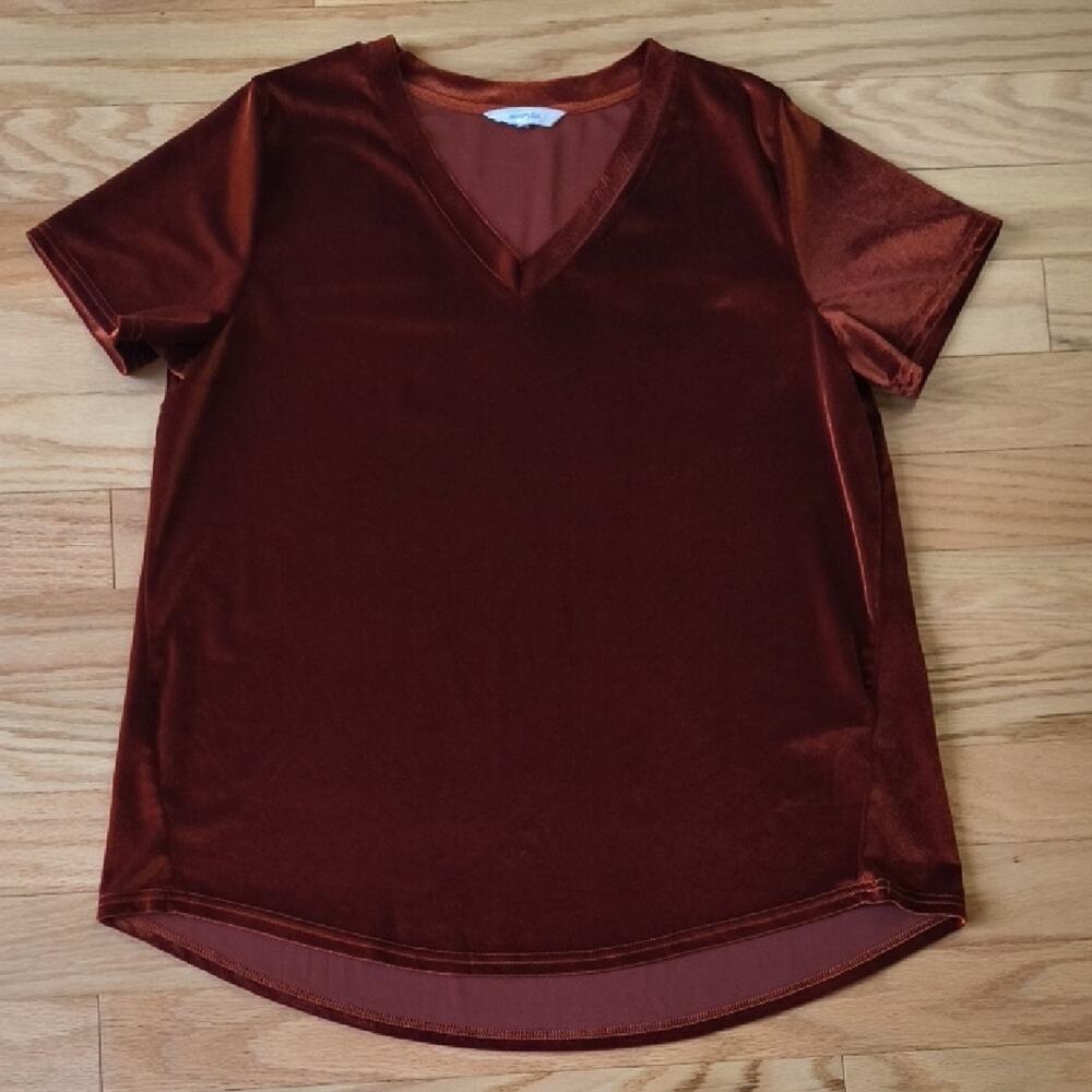 Amaryllis, Ladies Rust Orange Velvet Loose Fit Top, Size XL (EUC)